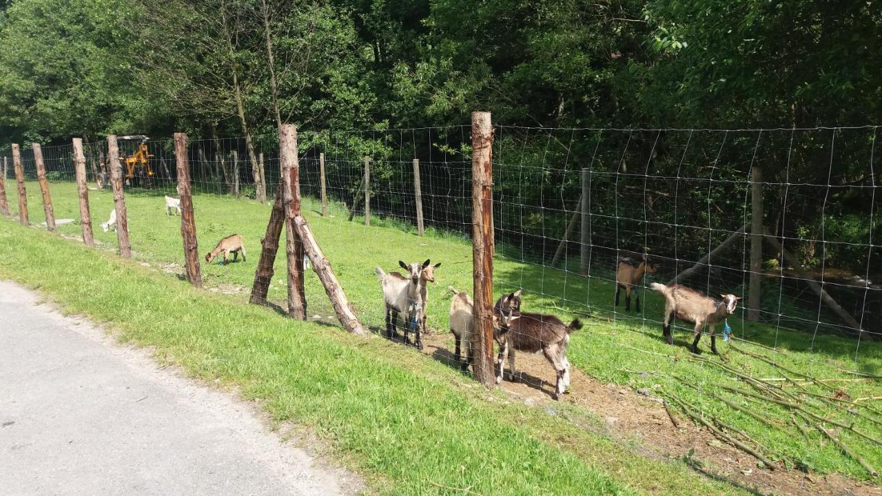 Agroturystyka,, Ranczo Kruszynki